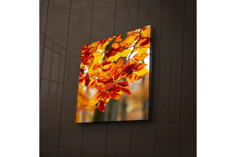 Canvasbilde Dekorativ LED-belysning - Flerfarget - Interiør - Maleri & posters - Lerretsbilder
