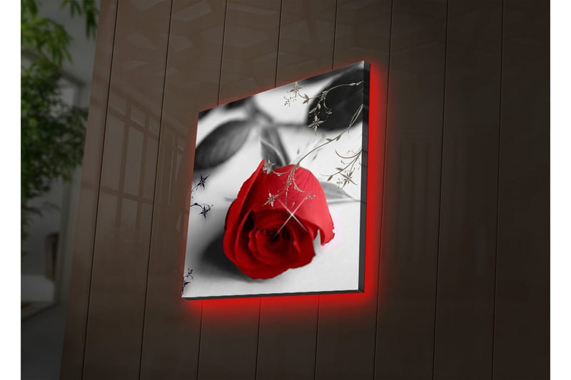 Canvasbilde Dekorativ LED-belysning - Flerfarget - Interiør - Maleri & posters - Lerretsbilder