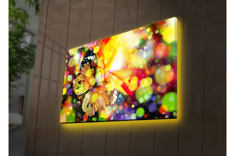 Canvasbilde Dekorativ LED-belysning - Flerfarget - Interiør - Maleri & posters - Lerretsbilder