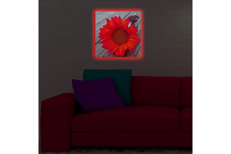 Canvasbilde Dekorativ LED-belysning - Flerfarget - Interiør - Maleri & posters - Lerretsbilder