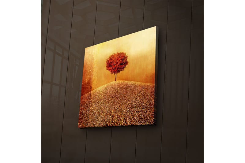 Canvasbilde Dekorativ LED-belysning - Flerfarget - Interiør - Maleri & posters - Lerretsbilder