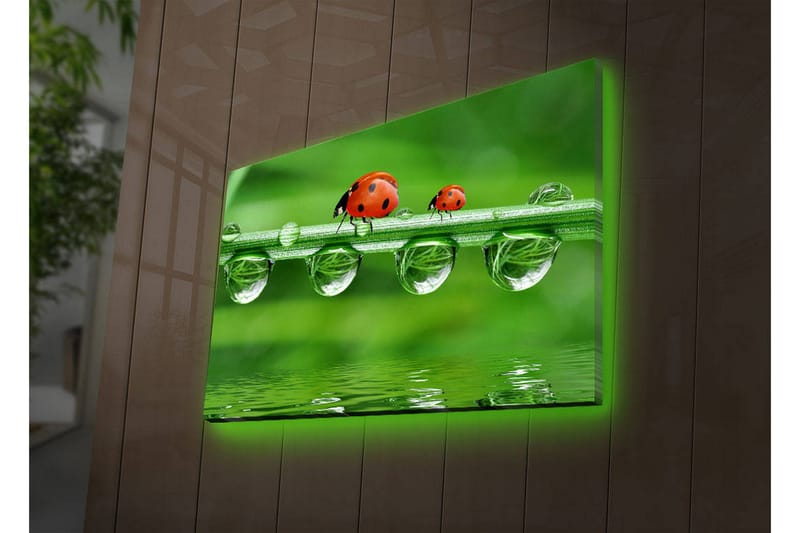 Canvasbilde Dekorativ LED-belysning - Flerfarget - Interiør - Maleri & posters - Lerretsbilder