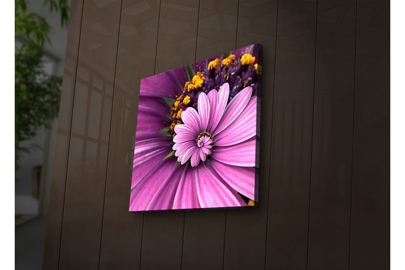 Canvasbilde Dekorativ LED-belysning - Flerfarget - Interiør - Maleri & posters - Lerretsbilder