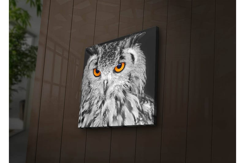 Canvasbilde Dekorativ LED-belysning - Flerfarget - Interiør - Maleri & posters - Lerretsbilder