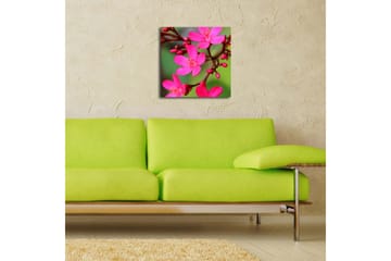 Canvasbilde Dekorativ LED-belysning - Flerfarget - Interiør - Maleri & posters - Lerretsbilder