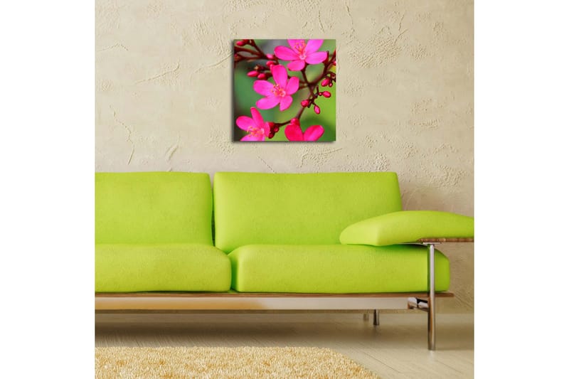 Canvasbilde Dekorativ LED-belysning - Flerfarget - Interiør - Maleri & posters - Lerretsbilder