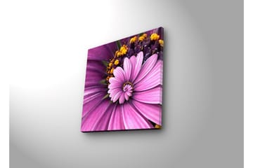 Canvasbilde Dekorativ LED-belysning - Flerfarget - Interiør - Maleri & posters - Lerretsbilder