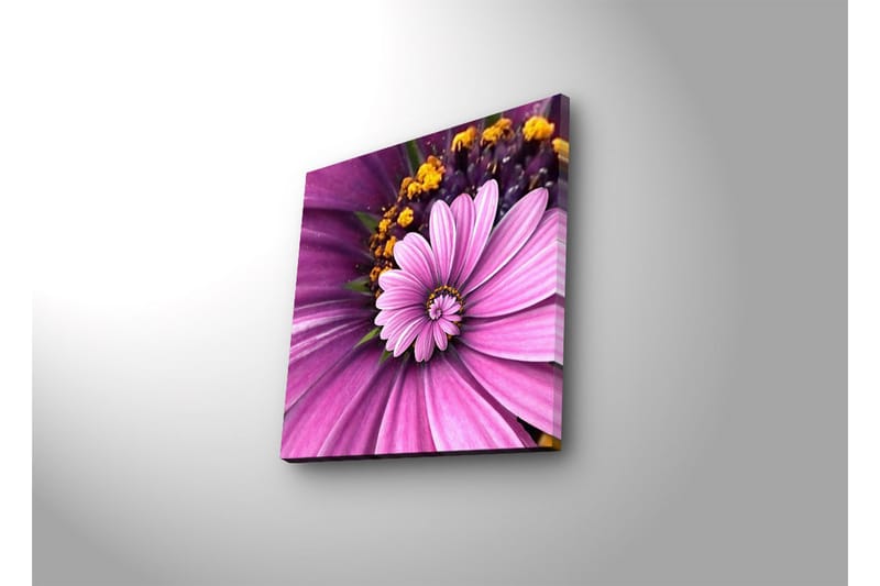Canvasbilde Dekorativ LED-belysning - Flerfarget - Interiør - Maleri & posters - Lerretsbilder