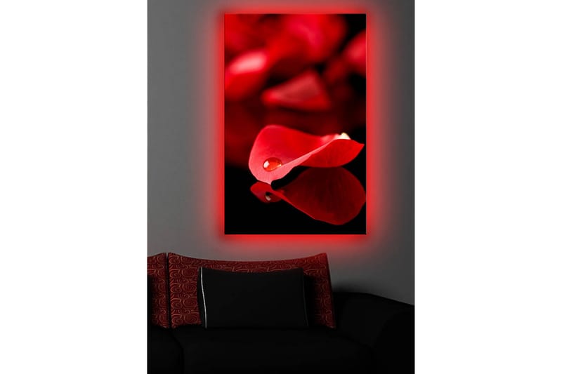 Canvasbilde Dekorativ LED-belysning - Flerfarget - Interiør - Maleri & posters - Lerretsbilder