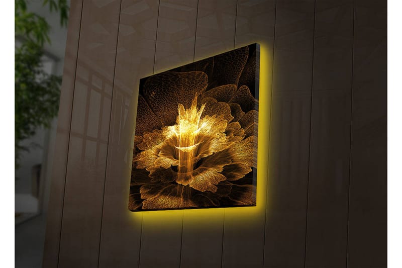Canvasbilde Dekorativ LED-belysning - Flerfarget - Interiør - Maleri & posters - Lerretsbilder