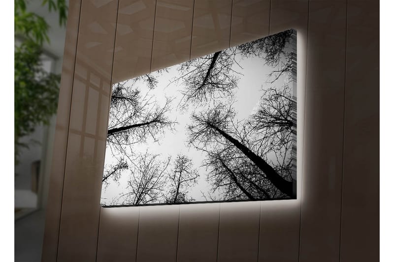 Canvasbilde Dekorativ LED-belysning - Flerfarget - Interiør - Maleri & posters - Lerretsbilder