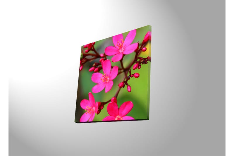 Canvasbilde Dekorativ LED-belysning - Flerfarget - Interiør - Maleri & posters - Lerretsbilder
