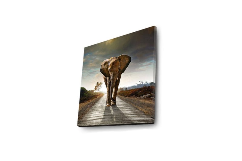 Canvasbilde Dekorativ LED-belysning - Flerfarget - Interiør - Maleri & posters - Lerretsbilder