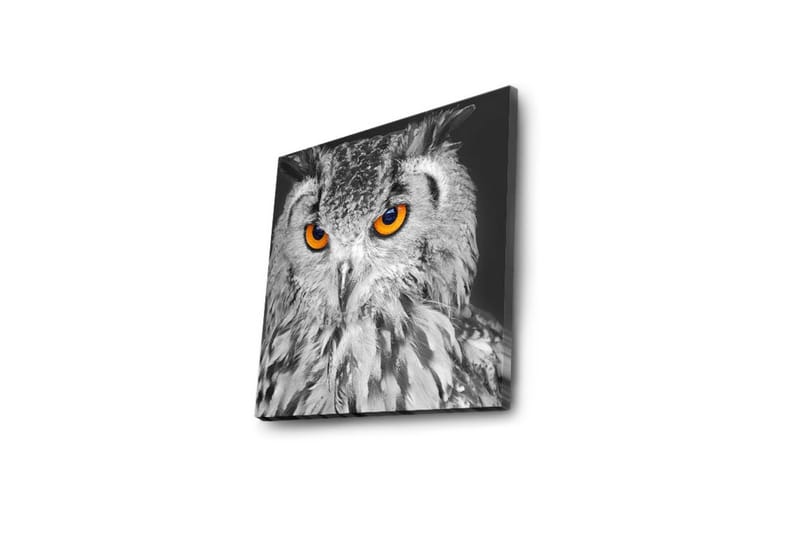Canvasbilde Dekorativ LED-belysning - Flerfarget - Interiør - Maleri & posters - Lerretsbilder