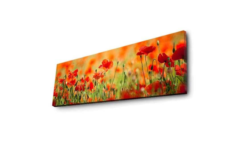 Canvasbilde Dekorativ LED-belysning - Flerfarget - Interiør - Maleri & posters - Lerretsbilder