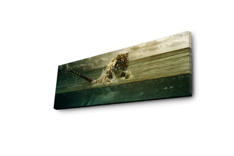 Canvasbilde Dekorativ LED-belysning - Flerfarget - Interiør - Maleri & posters - Lerretsbilder