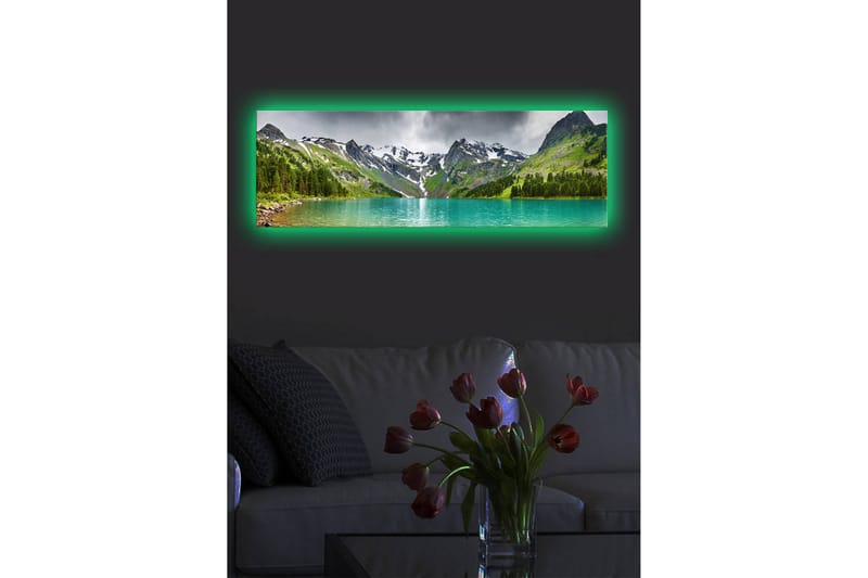 Canvasbilde Dekorativ LED-belysning - Flerfarget - Interiør - Maleri & posters - Lerretsbilder