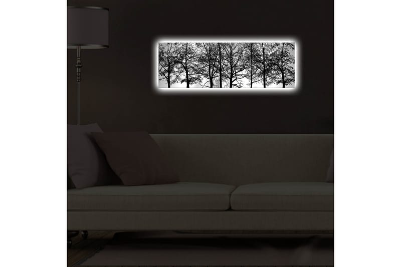 Canvasbilde Dekorativ LED-belysning - Flerfarget - Interiør - Maleri & posters - Lerretsbilder