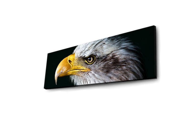 Canvasbilde Dekorativ LED-belysning - Flerfarget - Interiør - Maleri & posters - Lerretsbilder