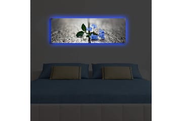 Canvasbilde Dekorativ LED-belysning - Flerfarget - Interiør - Maleri & posters - Lerretsbilder
