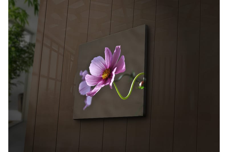Canvasbilde Dekorativ LED-belysning - Flerfarget - Interiør - Maleri & posters - Lerretsbilder