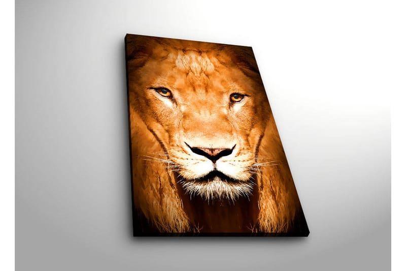 Canvasbilde Dekorativ LED-belysning - Flerfarget - Interiør - Maleri & posters - Lerretsbilder