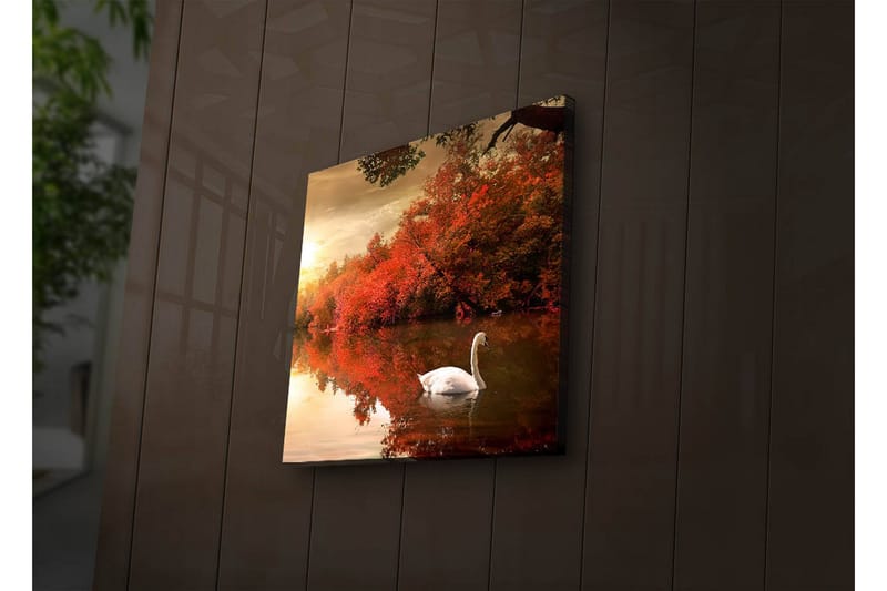 Canvasbilde Dekorativ LED-belysning - Flerfarget - Interiør - Maleri & posters - Lerretsbilder