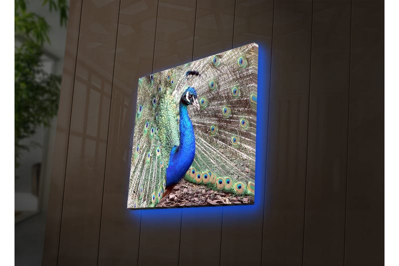 Canvasbilde Dekorativ LED-belysning - Flerfarget - Interiør - Maleri & posters - Lerretsbilder
