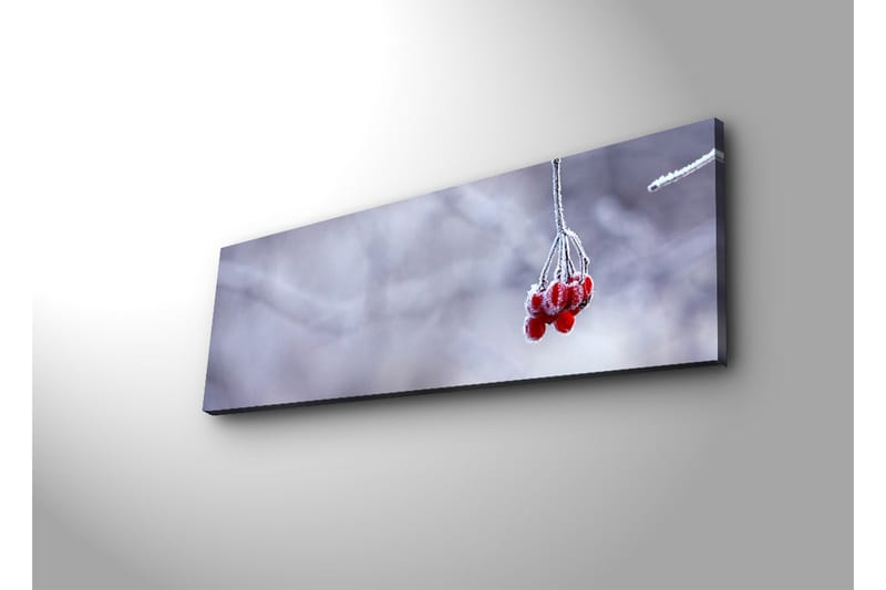 Canvasbilde Dekorativ LED-belysning - Flerfarget - Interiør - Maleri & posters - Lerretsbilder