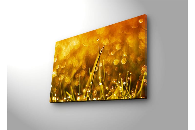 Canvasbilde Dekorativ LED-belysning - Flerfarget - Interiør - Maleri & posters - Lerretsbilder