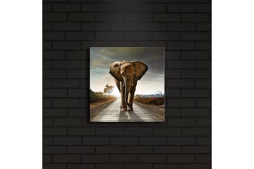 Canvasbilde Dekorativ LED-belysning - Flerfarget - Interiør - Maleri & posters - Lerretsbilder