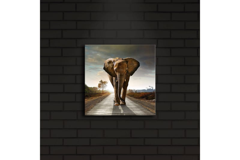 Canvasbilde Dekorativ LED-belysning - Flerfarget - Interiør - Maleri & posters - Lerretsbilder