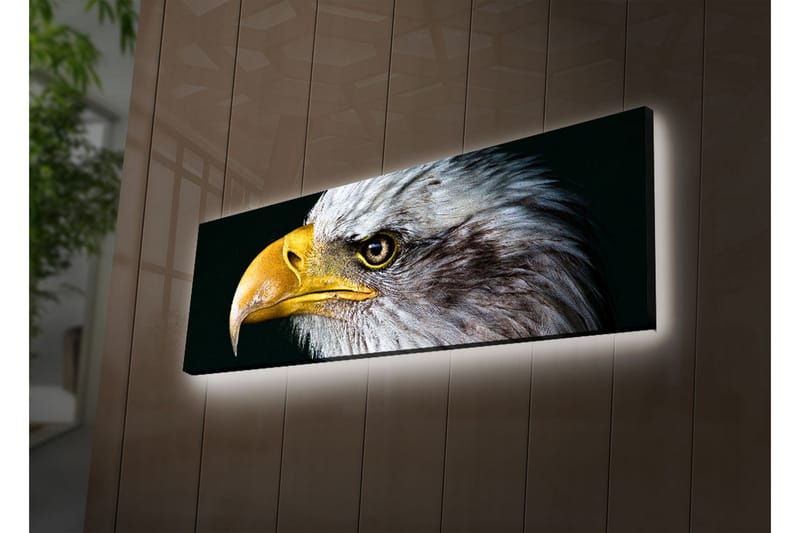Canvasbilde Dekorativ LED-belysning - Flerfarget - Interiør - Maleri & posters - Lerretsbilder
