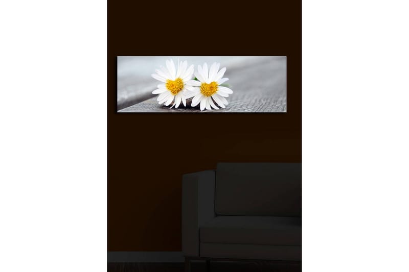 Canvasbilde Dekorativ LED-belysning - Flerfarget - Interiør - Maleri & posters - Lerretsbilder