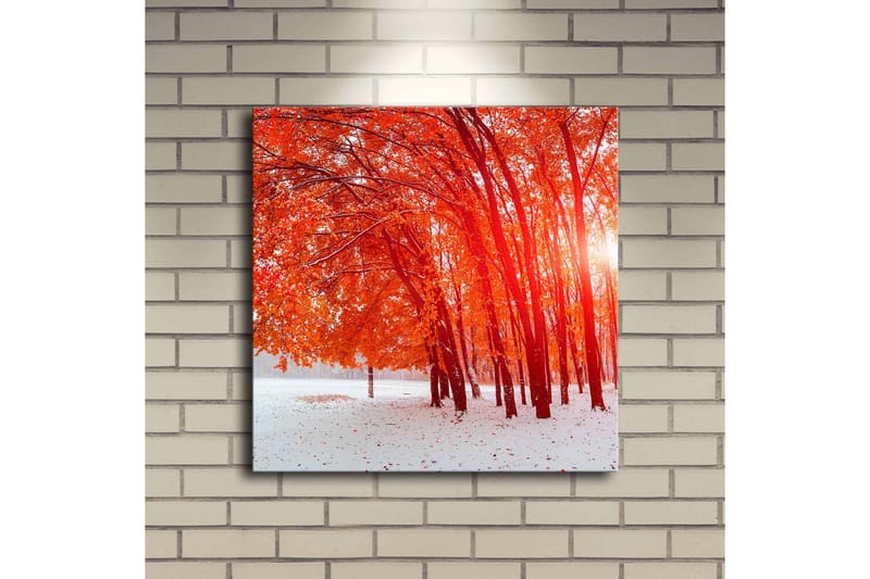 Canvasbilde Dekorativ LED-belysning - Flerfarget - Interiør - Maleri & posters - Lerretsbilder
