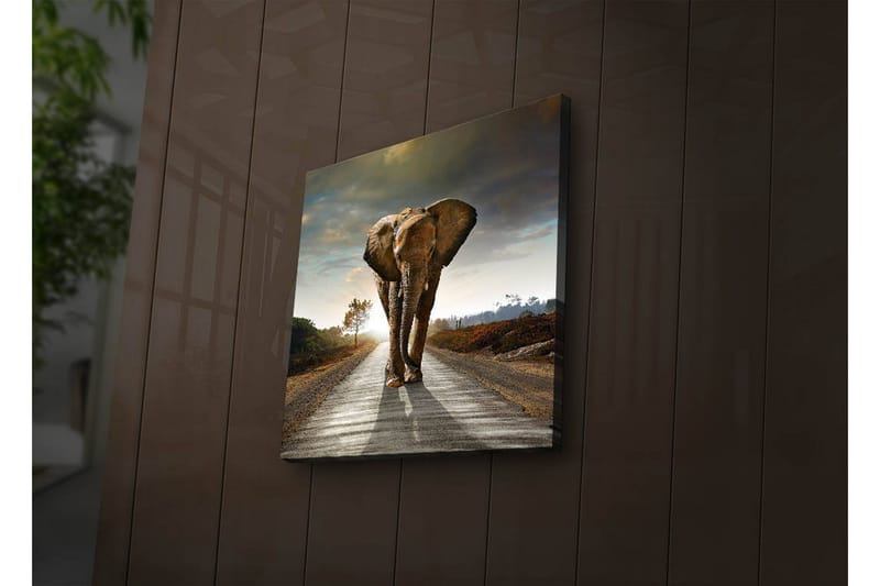 Canvasbilde Dekorativ LED-belysning - Flerfarget - Interiør - Maleri & posters - Lerretsbilder