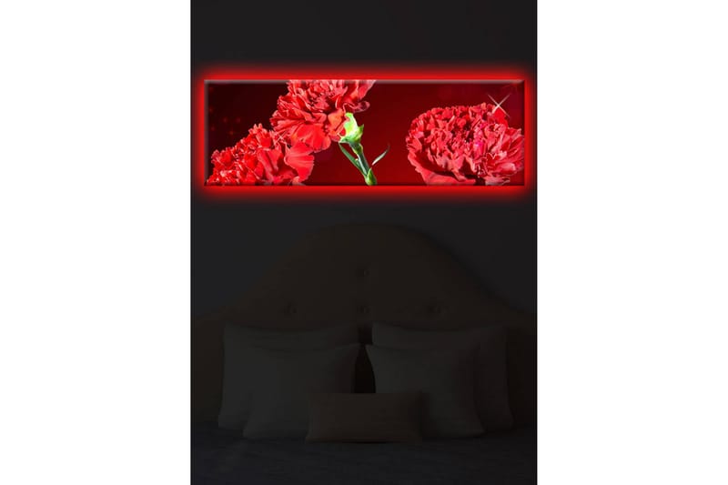 Canvasbilde Dekorativ LED-belysning - Flerfarget - Interiør - Maleri & posters - Lerretsbilder