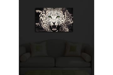 Canvasbilde Dekorativ LED-belysning - Flerfarget - Interiør - Maleri & posters - Lerretsbilder