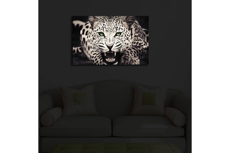 Canvasbilde Dekorativ LED-belysning - Flerfarget - Interiør - Maleri & posters - Lerretsbilder