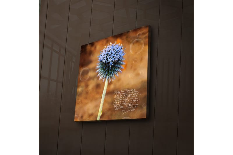 Canvasbilde Dekorativ LED-belysning - Flerfarget - Interiør - Maleri & posters - Lerretsbilder