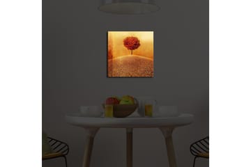 Canvasbilde Dekorativ LED-belysning - Flerfarget - Interiør - Maleri & posters - Lerretsbilder