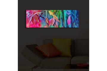 Canvasbilde Dekorativ LED-belysning - Flerfarget - Interiør - Maleri & posters - Lerretsbilder