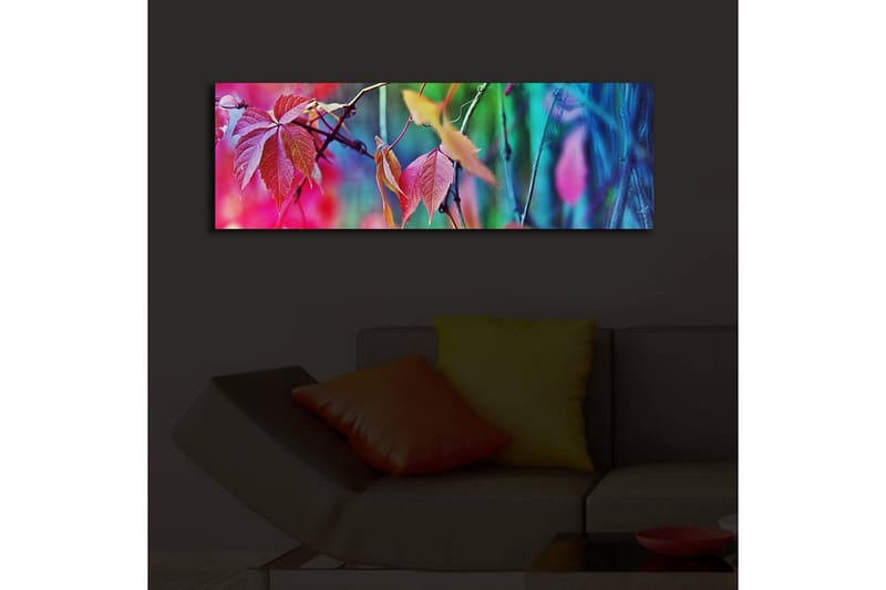 Canvasbilde Dekorativ LED-belysning - Flerfarget - Interiør - Maleri & posters - Lerretsbilder