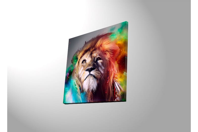 Canvasbilde Dekorativ LED-belysning - Flerfarget - Interiør - Maleri & posters - Lerretsbilder