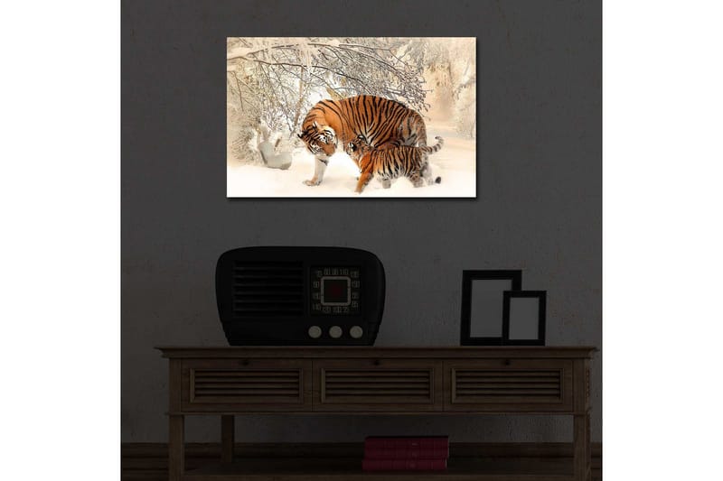 Canvasbilde Dekorativ LED-belysning - Flerfarget - Interiør - Maleri & posters - Lerretsbilder