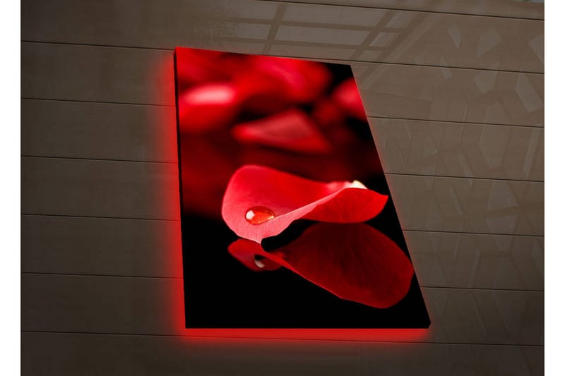 Canvasbilde Dekorativ LED-belysning - Flerfarget - Interiør - Maleri & posters - Lerretsbilder