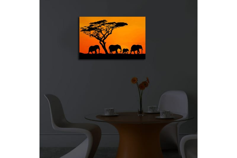 Canvasbilde Dekorativ LED-belysning - Flerfarget - Interiør - Maleri & posters - Lerretsbilder