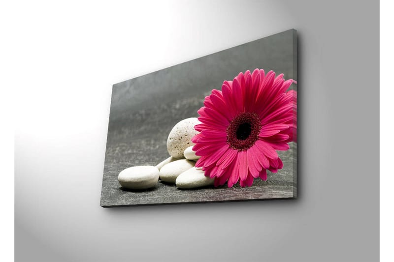 Canvasbilde Dekorativ LED-belysning - Flerfarget - Interiør - Maleri & posters - Lerretsbilder