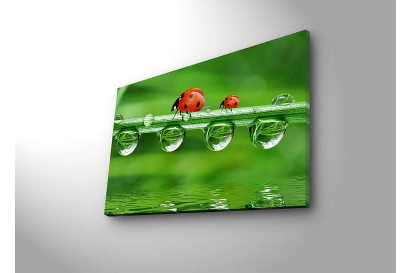 Canvasbilde Dekorativ LED-belysning - Flerfarget - Interiør - Maleri & posters - Lerretsbilder
