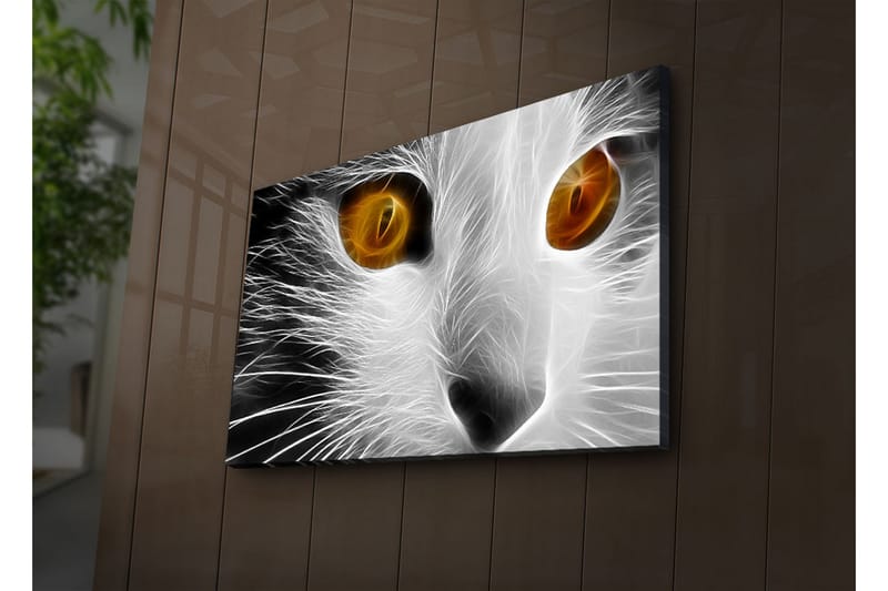Canvasbilde Dekorativ LED-belysning - Flerfarget - Interiør - Maleri & posters - Lerretsbilder